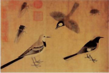 图片：写生珍禽图