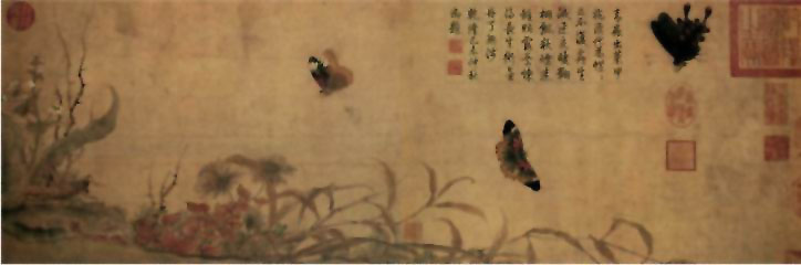 图片：写生蝴蝶图