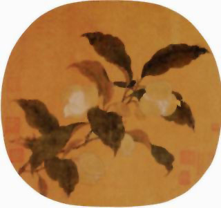 图片：夜合花图