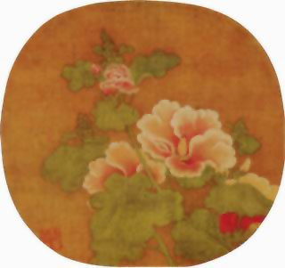 图片：蜀葵图