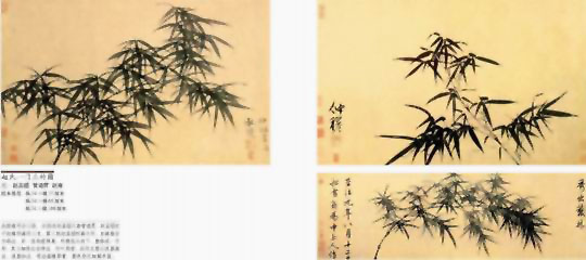 图片：赵氏一门三竹图