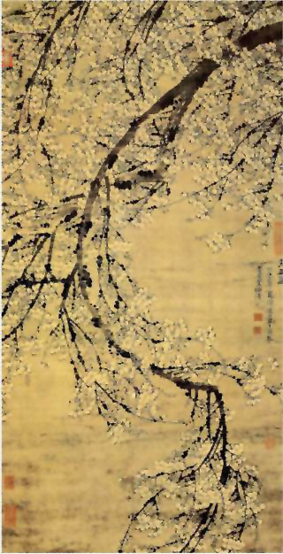 图片：万玉图