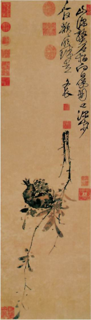 图片：榴实图