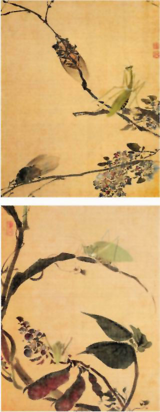 图片：花卉图（局部）
