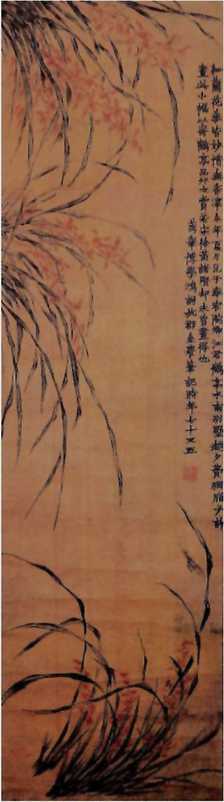 图片：兰花图