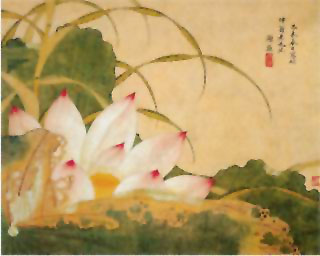图片：荷花图