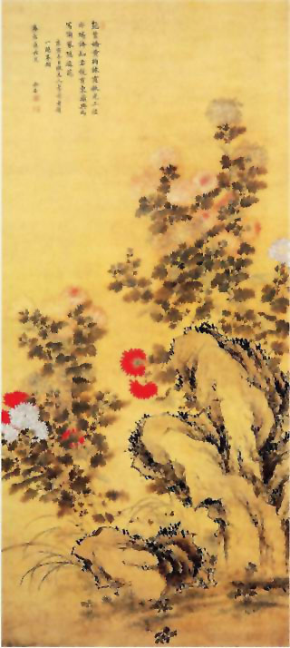 图片：菊石图