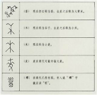 图片：商代甲骨文所见主要谷物