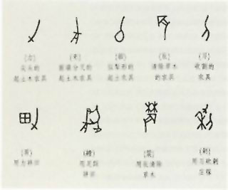 图片：商代甲骨文所见农具