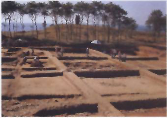 图片：发掘中的石碑地碣石宫遗址