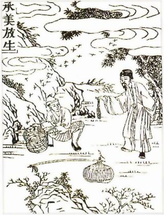 图片：承美放生
