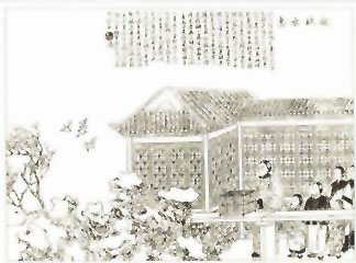 图片：放生