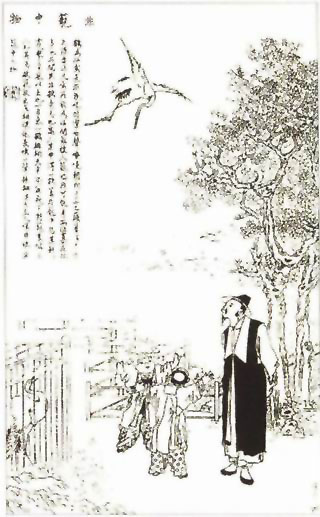 图片：放生
