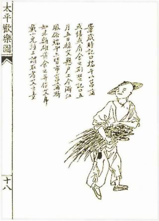 图片：菖蒲