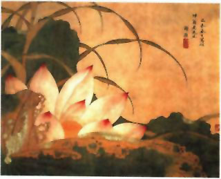图片：荷花图