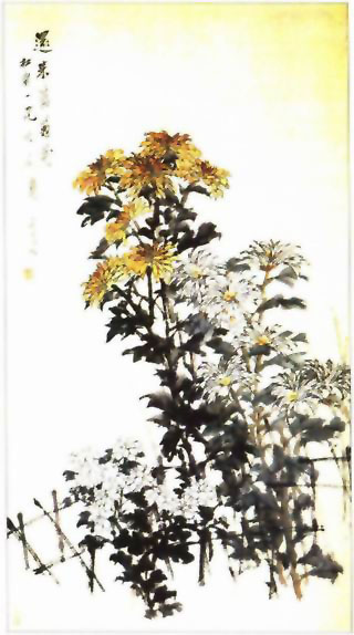 图片：菊花图