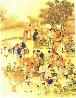 图片：菊市