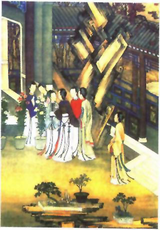 图片：赏盆菊