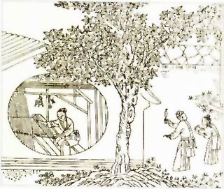 图片：织布
