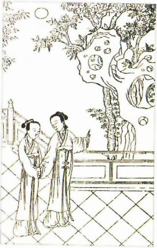 图片：走月亮