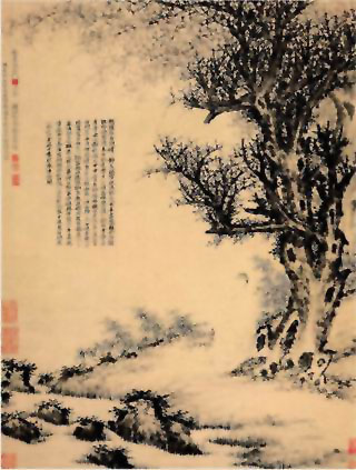 图片：寇湄像