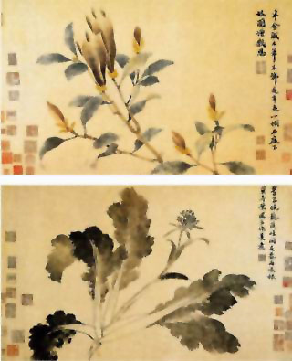图片：辛夷墨菜图