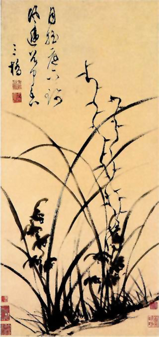 图片：兰花图