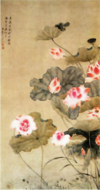 图片：荷花图