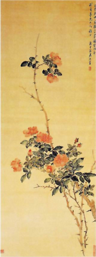 图片：花卉图
