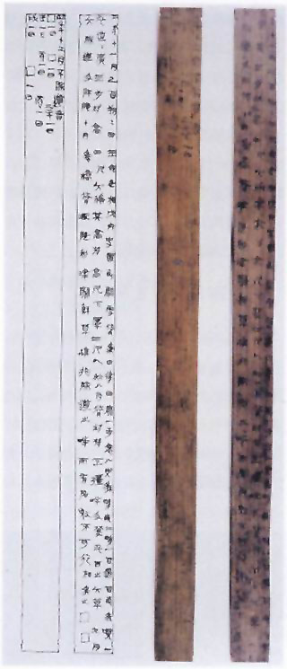 图片：青川木牍